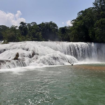 Cabanas Yax-Ha Arroyo Agua Azul Ngoại thất bức ảnh