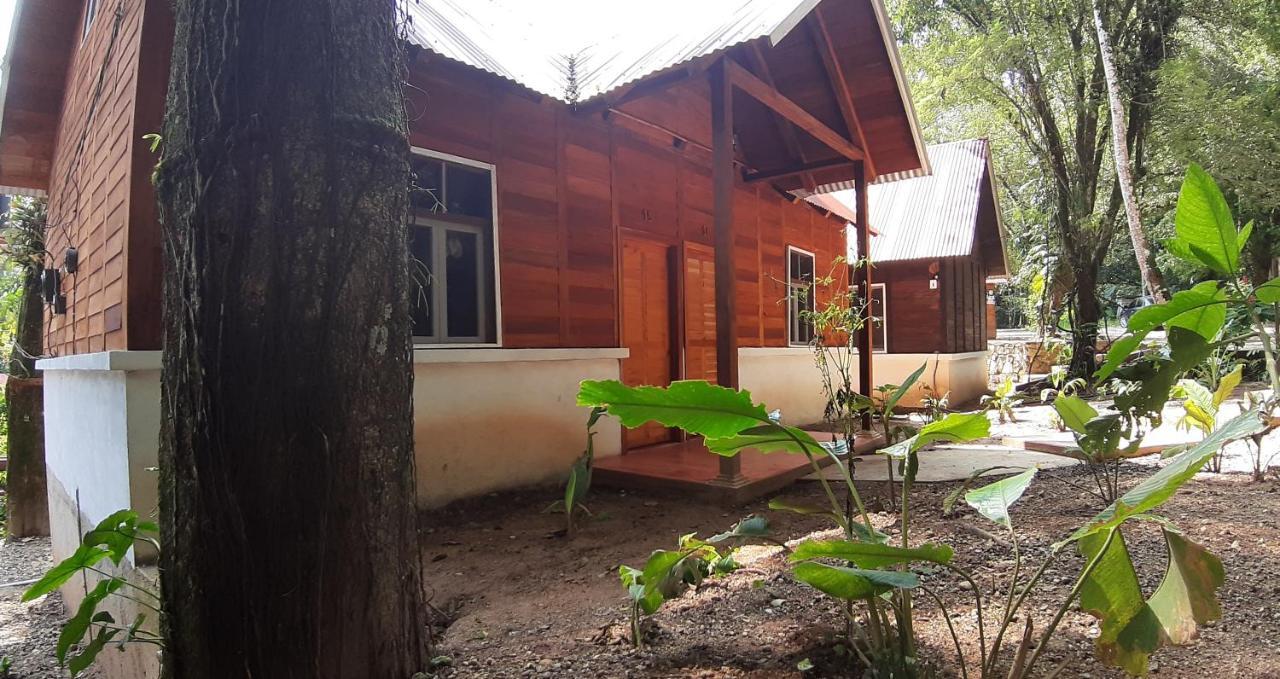 Cabanas Yax-Ha Arroyo Agua Azul Ngoại thất bức ảnh