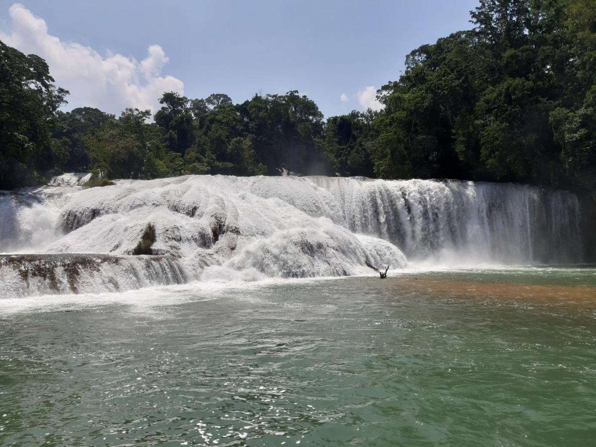 Cabanas Yax-Ha Arroyo Agua Azul Ngoại thất bức ảnh