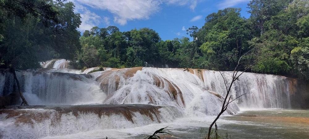 Cabanas Yax-Ha Arroyo Agua Azul Ngoại thất bức ảnh