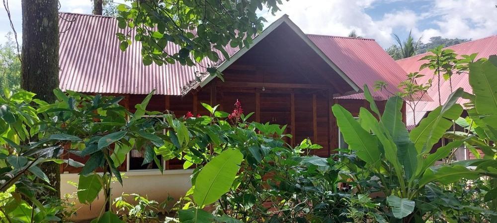 Cabanas Yax-Ha Arroyo Agua Azul Ngoại thất bức ảnh